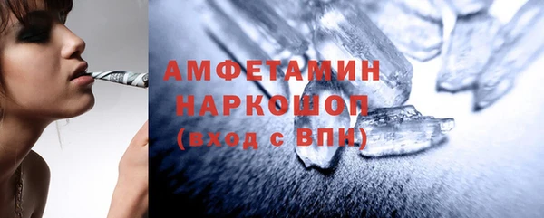 индика Аркадак