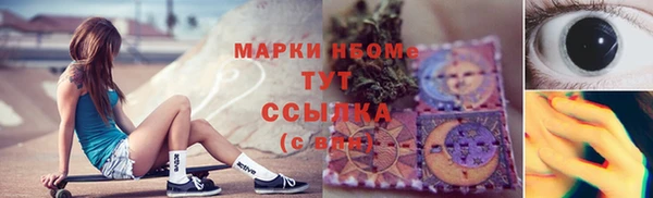 прущие грибы Алзамай