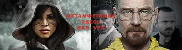 прущие грибы Алзамай
