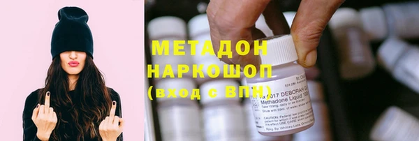 прущие грибы Алзамай