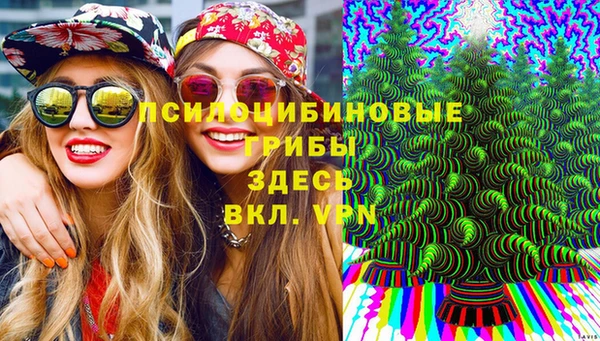 метадон Алексеевка