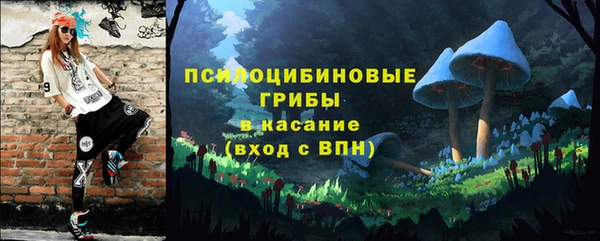 прущие грибы Алзамай