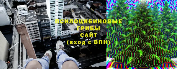 прущие грибы Алзамай