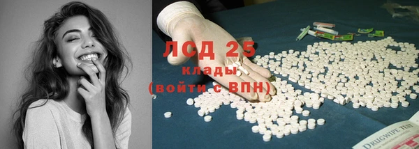 прущие грибы Алзамай